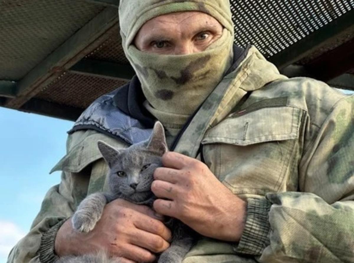 Barmaley the cat became the mascot of the military from the South group in the special military operation zone.